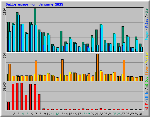 Daily usage for January 2025