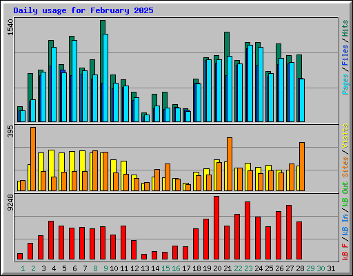 Daily usage for February 2025