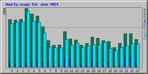 Hourly usage for June 2024