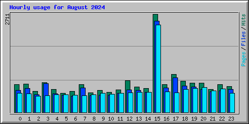 Hourly usage for August 2024