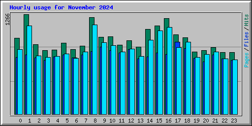 Hourly usage for November 2024