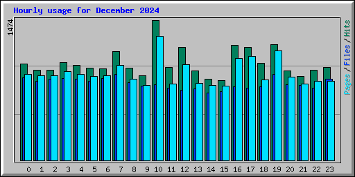 Hourly usage for December 2024