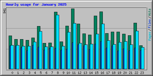 Hourly usage for January 2025