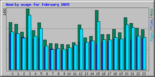 Hourly usage for February 2025