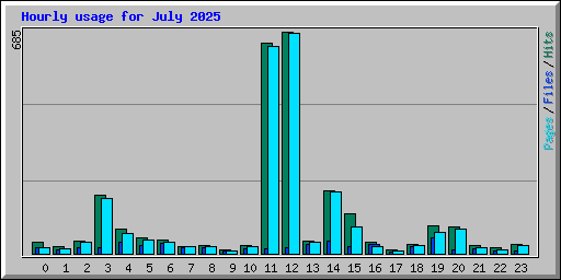 Hourly usage for July 2025