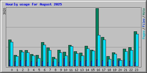 Hourly usage for August 2025