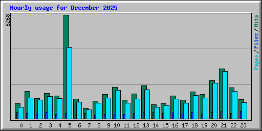 Hourly usage for December 2025