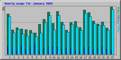 Hourly usage for January 2026