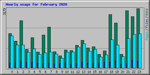 Hourly usage for February 2026
