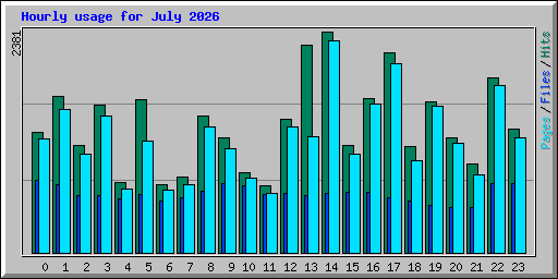 Hourly usage for July 2026