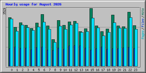 Hourly usage for August 2026