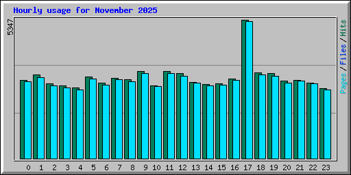 Hourly usage for November 2025