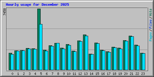 Hourly usage for December 2025