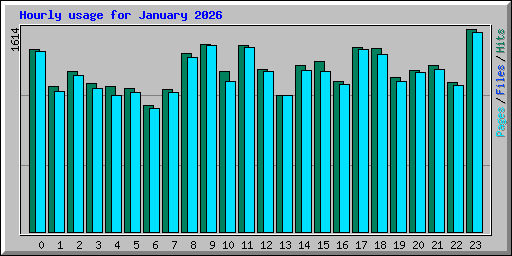 Hourly usage for January 2026