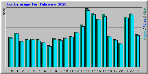 Hourly usage for February 2026